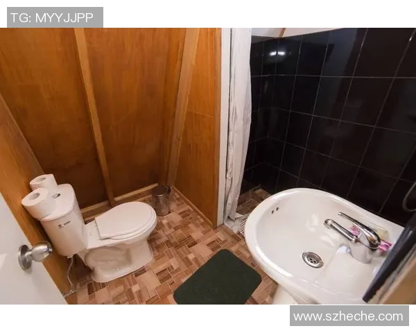 巴内切亚与瓦尔迪维亚激战正酣赛果揭晓引发热议