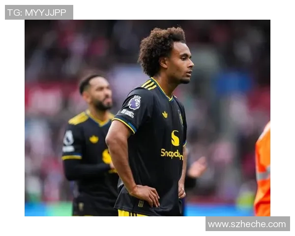 加利点评米兰引援：弗拉霍维奇与齐尔克泽的实在价值